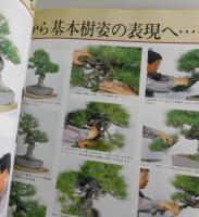 黒松Special：近代盆栽増刊号