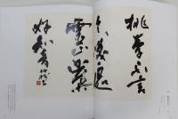 図録『書 杭迫柏樹の世界』 函付き 「作品集」「書のあゆみ」2