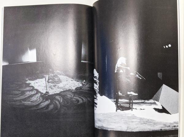 たぬき 希少 BEE HONEY HONEYCOMB : DOCUMENT OF PERFORMANCE ART』(GOJI 人文