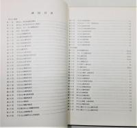 『茶臼山・東光寺遺跡　福岡県久留米市山川町所在中世遺跡の調査』　久留米市文化財調査報告書 第9集