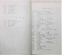『茶臼山・東光寺遺跡　福岡県久留米市山川町所在中世遺跡の調査』　久留米市文化財調査報告書 第9集
