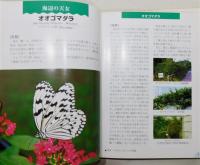 『琉球列島のチョウたち ～南の邦はチョウ天国～』 琉球列島の昆虫シリーズ2