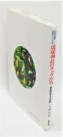 『琉球列島のチョウたち ～南の邦はチョウ天国～』 琉球列島の昆虫シリーズ2
