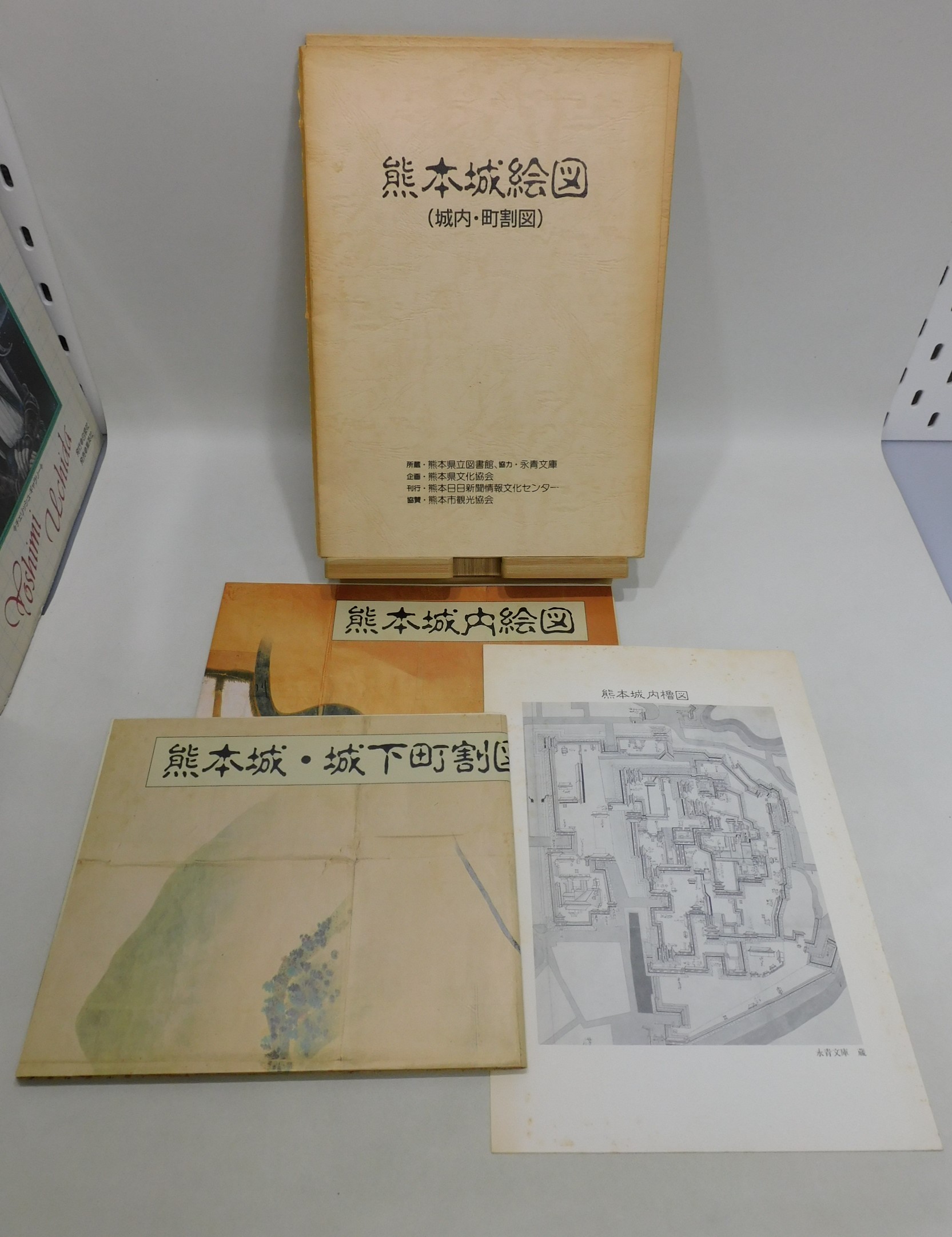 61d164XoesL._AC_UF894,