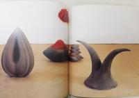 図録『ANISH KAPOOR/アニッシュ・カプーア：Museo Archeologico Nazionale』