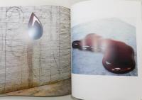 図録『ANISH KAPOOR/アニッシュ・カプーア：Museo Archeologico Nazionale』