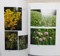 『福間町の植物』