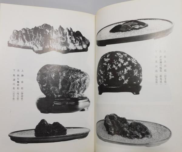 探石ガイドブック : 日本の石のすべて』(「愛石界」編集部 編