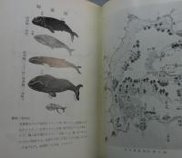 「見嶋と鯨」