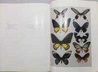 洋書『THE BUTTERFLIES OF THE MALAY PENINSULA / マレー半島の蝶』