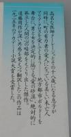 「愛の砂漠」講談社文芸文庫