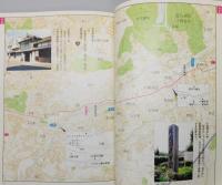 『長崎街道 : 伊能図で甦る古 (いにしえ) の夢』