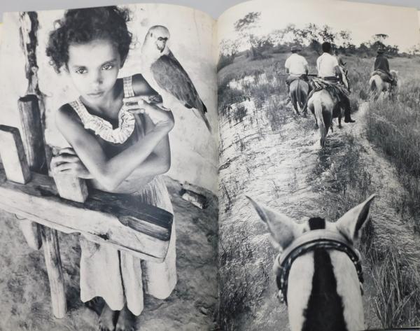 サンバ・サンバ・ブラジル 三木淳写真集』 署名入り 函付き(三木淳 著) 古本、中古本、古書籍の通販は「日本の古本屋」 日本の古本屋