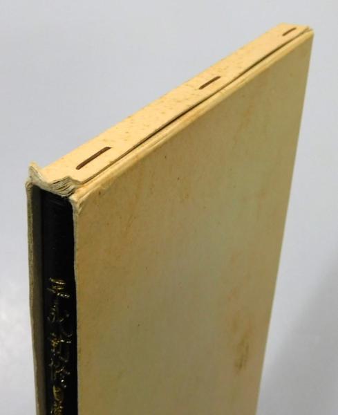 平成新修日蓮聖人遺文集』 索引(米田淳雄 編) / 古本、中古本、古書籍