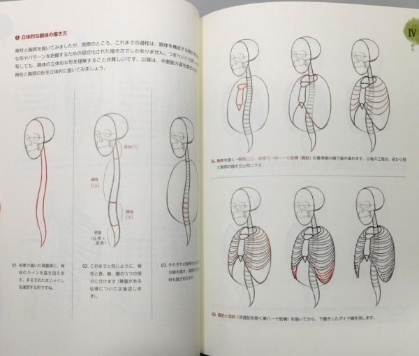 ソッカの美術解剖学ノート