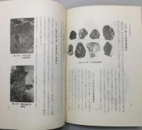 『九州の黒曜石 : 黒曜石の産地推定に関する考古学的研究』