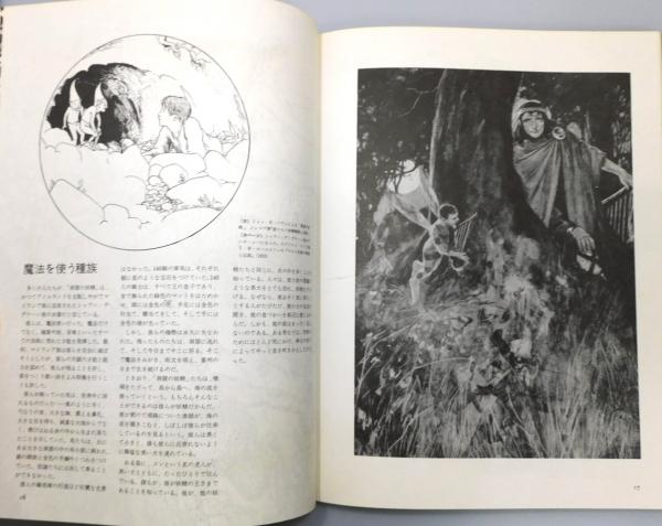 妖精画廊Part2 夢を描く絵師たち 妖精文庫別巻(荒俣宏編著