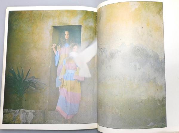 写真集『デービッド・ハミルトン傑作集』(岩崎秀夫 編) / 古本、中古本