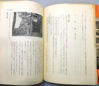 『姿なき阿波古城』