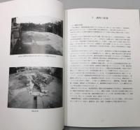『五郎丸古墳群12号墳 : 福岡県糟屋郡志免町王子3丁目所在遺跡の発掘調査報告』