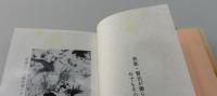 宮沢賢治と東山 : "石の技師"の記録