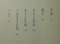 恋人たちの冒険