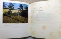 『石 : THE BEAUTY OF STONES』