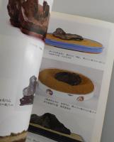 「水石美への招待：水石入門ガイドブック」月刊近代盆栽増刊
