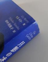 月影の迷路