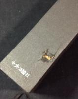 チェーホフ全集　全16巻揃+チェーホフ研究　全17冊