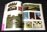 落田洋子・風の祝祭