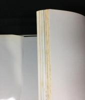 イメージの旅 : インスピレーション+イラストレーション