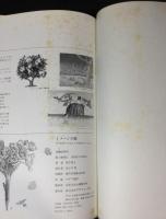 イメージの旅 : インスピレーション+イラストレーション