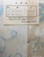 原色台湾産蝶類図譜