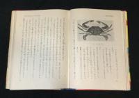 潮干狩の動物研究