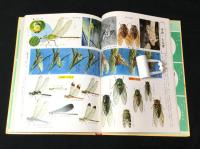 小学3年生のずかん : 各科学習