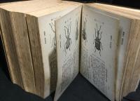 日本昆蟲圖鑑　・　日本昆虫図鑑索引 附：正誤表　合計２冊