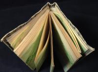 車窓のながめ : 日豊線の巻