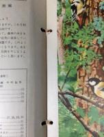 科学グラフ　理科社会科の学習