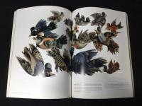 クリエイション　Creation : international graphic design, art & illustration　1～5