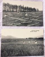 蘭谷機械農場絵葉書