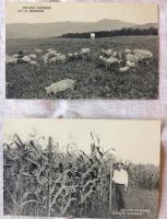 蘭谷機械農場絵葉書 北朝鮮（江原道）