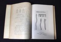 大東亜共栄圏毒蛇解説