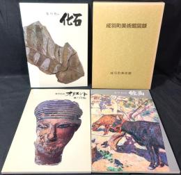 成羽町美術館図録　なりわの絵画・なりわの化石・なりわのオリエント
