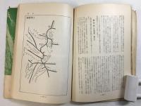 中央アルプスと御岳