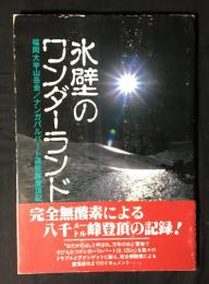 氷壁のワンダーランド : 福岡大学山岳会ナンガ・パルバート遠征隊登頂記