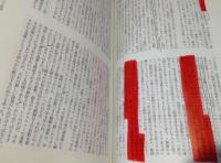 モダニズムのハード・コア　現代美術批評の地平　批評空間1995臨時増刊号
