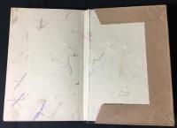 白象 : 趣味の研究