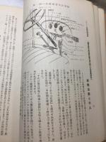 シボレー解説書　