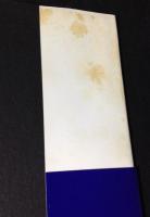 花嫁化鳥 : 日本呪術紀行